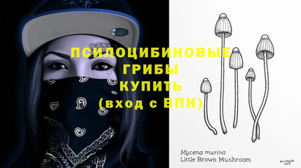 Альфа ПВП Абаза