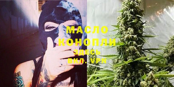 амф Гатчина